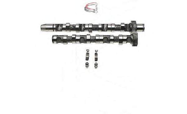 CP60239 CAMPRO Engine Timing Control Camshaft