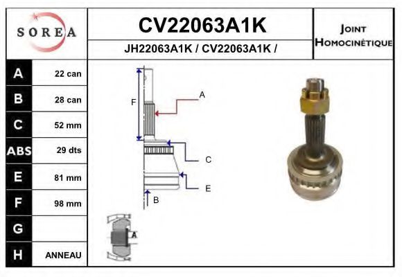 CV22063A1K EAI Joint, drive shaft