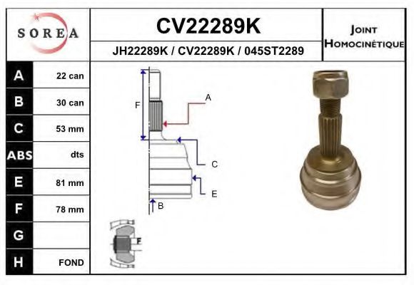 CV22289K EAI Final Drive Joint, drive shaft