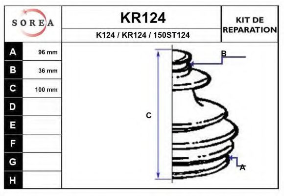 KR124 EAI Комплект пылника, приводной вал