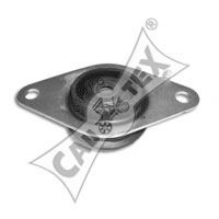 020482 CAUTEX Mounting, automatic transmission; Mounting, manual transmission