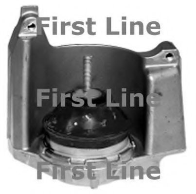 FEM3157 FIRST+LINE Lagerung, Motor