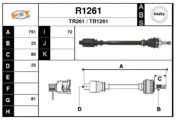 R1261 SNRA Belt Drive Timing Belt