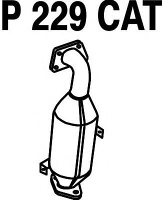 P229CAT FENNO Система выпуска ОГ Катализатор
