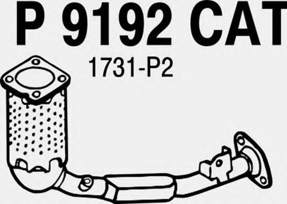 P9192CAT FENNO Abgasanlage Katalysator