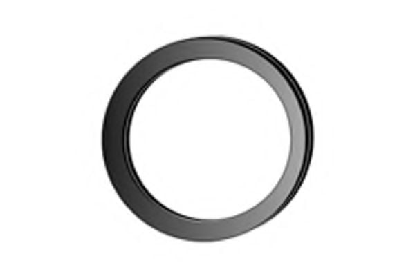 X70124 FENNO Exhaust System Gasket, exhaust pipe