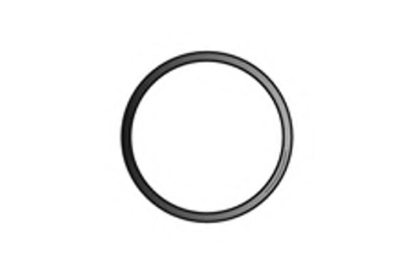 X75124 FENNO Exhaust System Gasket, exhaust pipe