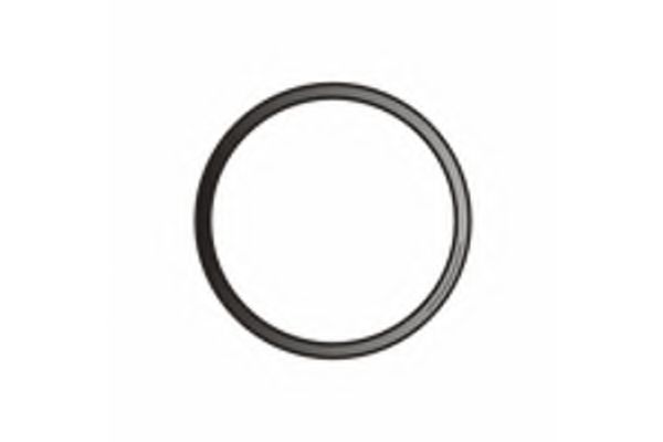 X75286 fenno Exhaust System Gasket, exhaust pipe