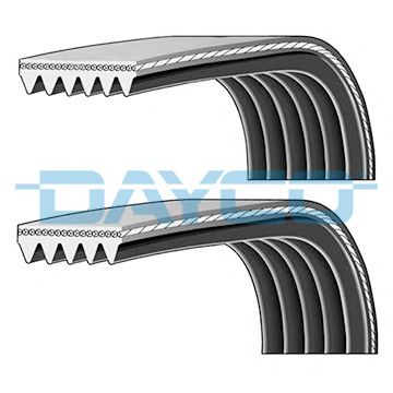 PVE003 DAYCO V-Ribbed Belts