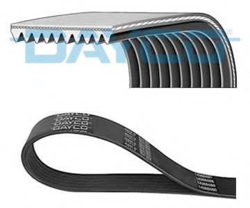 10PK1068HD DAYCO V-Ribbed Belts