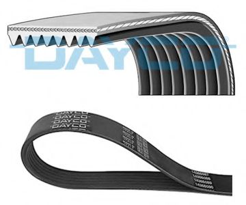 8PK1005HD DAYCO V-Ribbed Belts