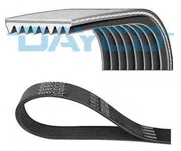 8PK1230HD DAYCO V-Ribbed Belts