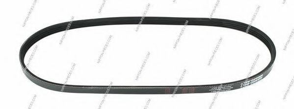 H111A17 NPS V-Ribbed Belts