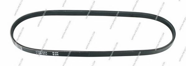 S111I04 NPS V-Ribbed Belts