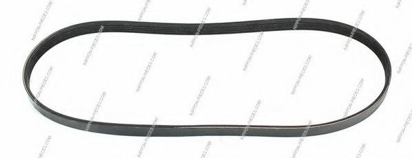 N111N36 NPS V-Ribbed Belts