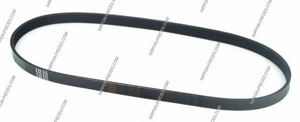 T111A11 NPS V-Ribbed Belts