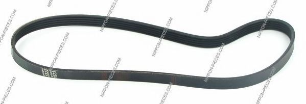 T111A20 NPS V-Ribbed Belts