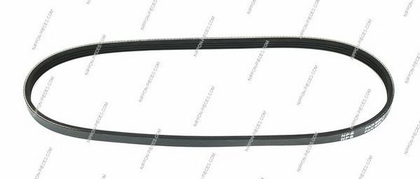 H111A51 NPS V-Ribbed Belts