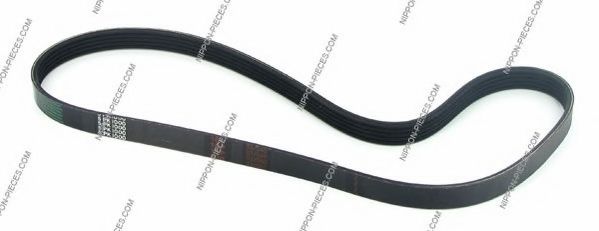 T111A18 NPS V-Ribbed Belts