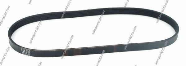 T111A19 NPS V-Ribbed Belts