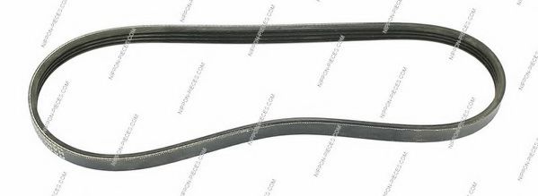 H111A30 NPS V-Ribbed Belts