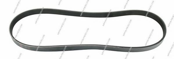 H111A56 NPS V-Ribbed Belts