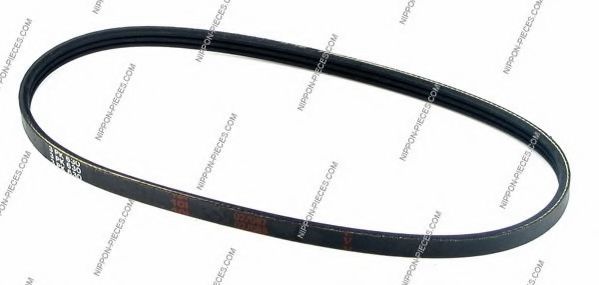 T111A30 NPS V-Ribbed Belts