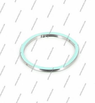 T433A01 NPS Exhaust System Seal, exhaust pipe