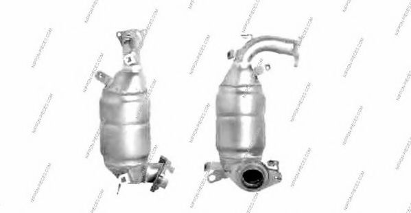 T431A58 NPS Catalytic Converter