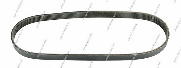 T111A79 NPS V-Ribbed Belts