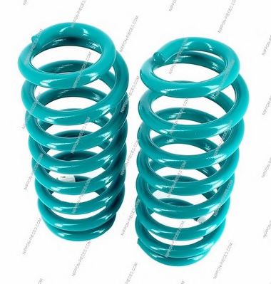 T491A61 NPS Suspension Coil Spring