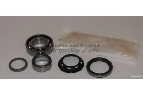 1413-3008 ASHUKI Wheel Bearing Kit