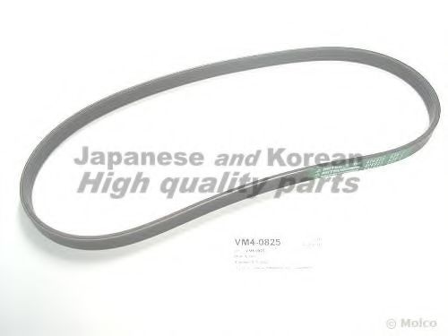 VM4-0825 ASHUKI V-Ribbed Belts