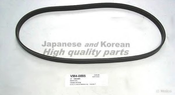 VM4-0855 ASHUKI V-Ribbed Belts