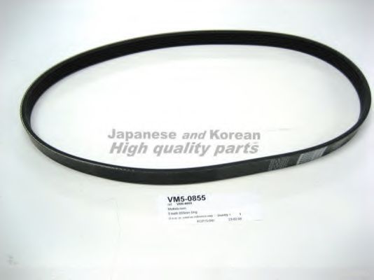 VM5-0855 ASHUKI V-Ribbed Belts