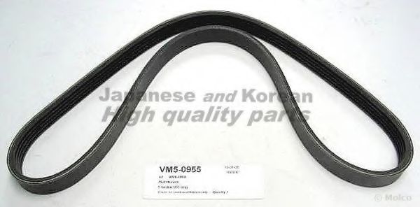 VM5-0955 ASHUKI V-Ribbed Belts