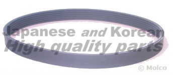 VM6-0675 ASHUKI V-Ribbed Belts