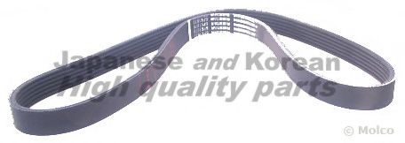 VM61070 ASHUKI V-Ribbed Belts