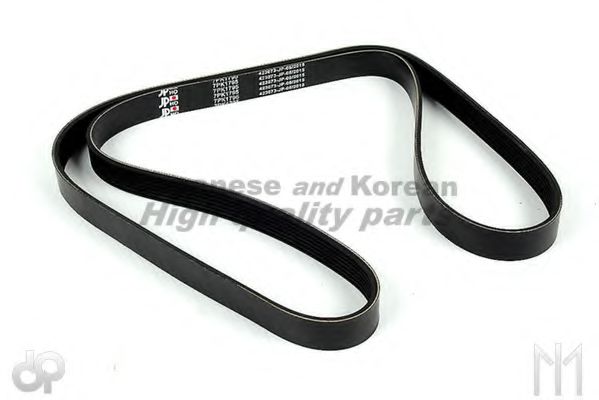 VM71795 ASHUKI V-Ribbed Belts