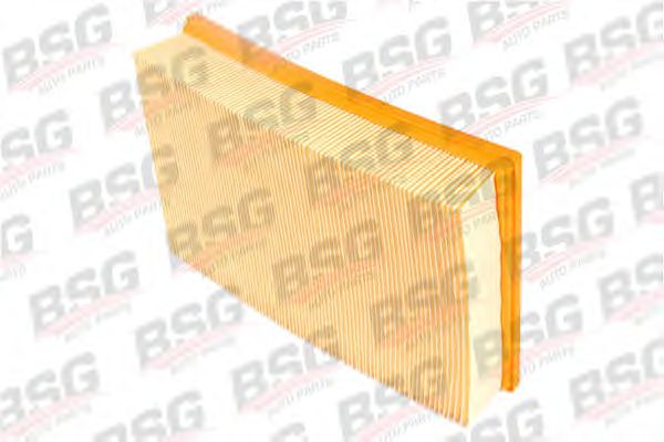 BSG 30-135-004 BSG Air Supply Air Filter