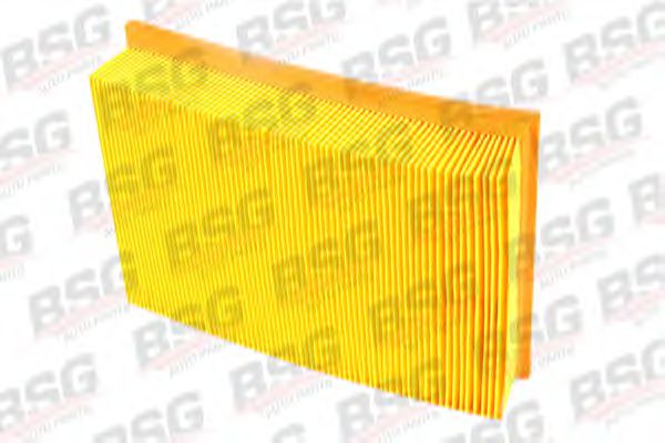 BSG 30-135-009 BSG Air Supply Air Filter