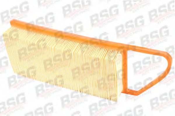 BSG 30-135-012 BSG Air Supply Air Filter