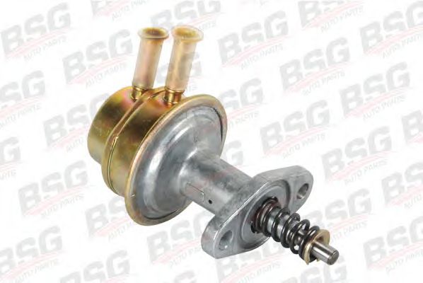 BSG 30-150-001 BSG Fuel Supply System Fuel Pump