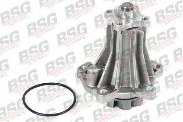 BSG 30-500-006 BSG Water Pump