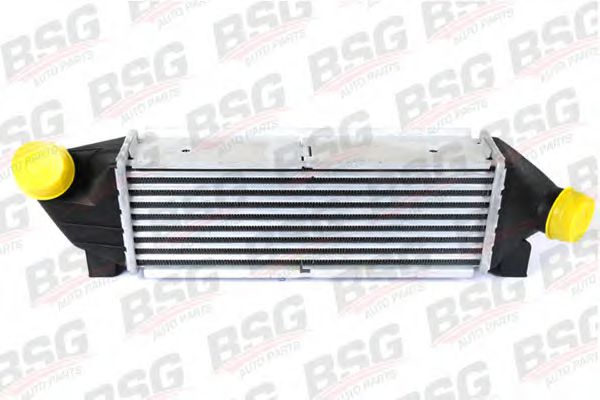 BSG 30-535-001 BSG Air Supply Intercooler, charger