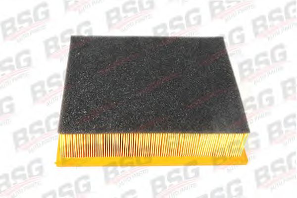 BSG 60-135-001 BSG Air Filter