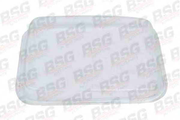 BSG 60-801-005 BSG Diffusing Lens, headlight