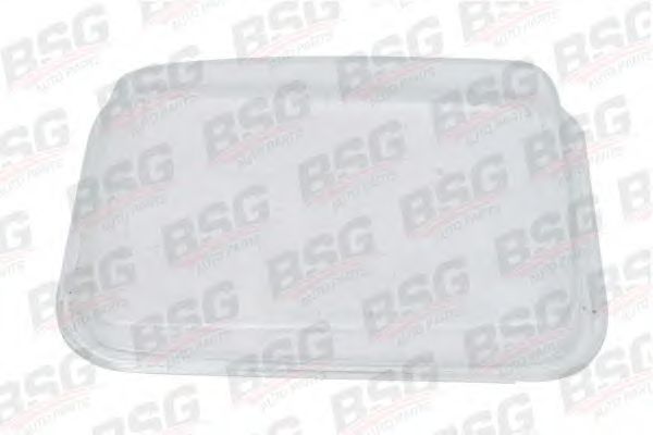 BSG 60-801-006 BSG Diffusing Lens, headlight