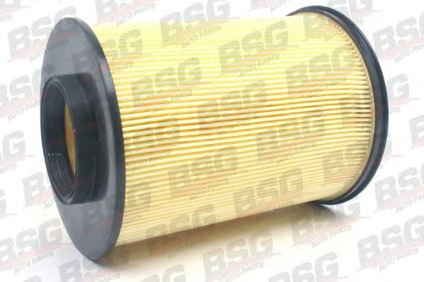 BSG 30-135-014 BSG Air Supply Air Filter