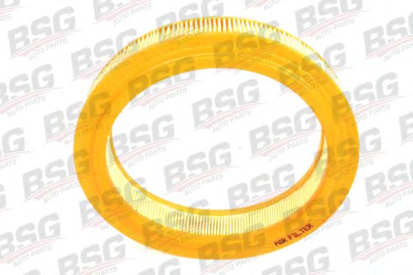 BSG 30-135-022 BSG Air Supply Air Filter